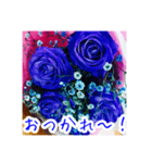 バラのお花（薔薇、ばら）（個別スタンプ：10）