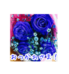 バラのお花（薔薇、ばら）（個別スタンプ：11）