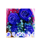 バラのお花（薔薇、ばら）（個別スタンプ：13）