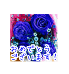 バラのお花（薔薇、ばら）（個別スタンプ：17）