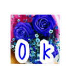 バラのお花（薔薇、ばら）（個別スタンプ：19）