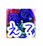 バラのお花（薔薇、ばら）（個別スタンプ：20）