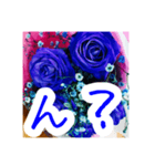 バラのお花（薔薇、ばら）（個別スタンプ：21）