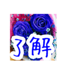 バラのお花（薔薇、ばら）（個別スタンプ：23）