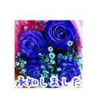 バラのお花（薔薇、ばら）（個別スタンプ：24）