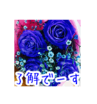 バラのお花（薔薇、ばら）（個別スタンプ：25）