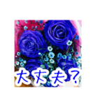 バラのお花（薔薇、ばら）（個別スタンプ：26）
