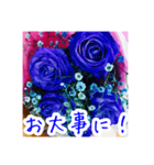 バラのお花（薔薇、ばら）（個別スタンプ：27）