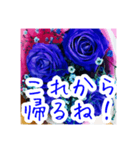 バラのお花（薔薇、ばら）（個別スタンプ：28）
