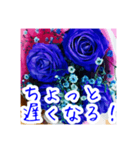 バラのお花（薔薇、ばら）（個別スタンプ：29）