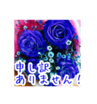バラのお花（薔薇、ばら）（個別スタンプ：33）