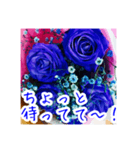 バラのお花（薔薇、ばら）（個別スタンプ：34）