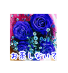バラのお花（薔薇、ばら）（個別スタンプ：35）