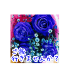 バラのお花（薔薇、ばら）（個別スタンプ：37）