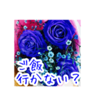 バラのお花（薔薇、ばら）（個別スタンプ：38）