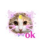 猫のスタンプ♡（個別スタンプ：6）