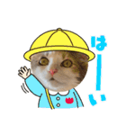 猫のスタンプ♡（個別スタンプ：14）