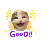 猫のスタンプ♡（個別スタンプ：30）