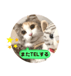 猫のスタンプ♡（個別スタンプ：35）