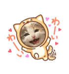 猫のスタンプ♡（個別スタンプ：40）