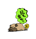ブルパグさん（犬）（個別スタンプ：8）