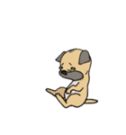 ブルパグさん（犬）（個別スタンプ：16）