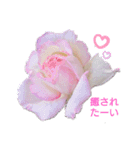 薔薇のひとこと（個別スタンプ：3）