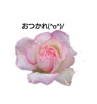 薔薇のひとこと（個別スタンプ：6）