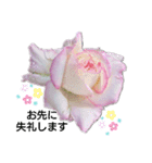 薔薇のひとこと（個別スタンプ：8）