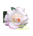 薔薇のひとこと（個別スタンプ：9）