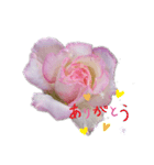 薔薇のひとこと（個別スタンプ：10）