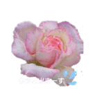 薔薇のひとこと（個別スタンプ：11）