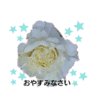 薔薇のひとこと（個別スタンプ：14）