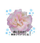薔薇のひとこと（個別スタンプ：15）