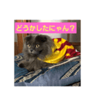 コマちゃん＆ナナちゃん（個別スタンプ：4）