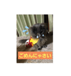 コマちゃん＆ナナちゃん（個別スタンプ：5）