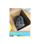 コマちゃん＆ナナちゃん（個別スタンプ：7）