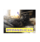 コマちゃん＆ナナちゃん（個別スタンプ：10）