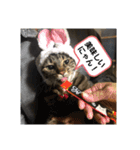 コマちゃん＆ナナちゃん（個別スタンプ：14）