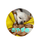 癒しのななの日常（個別スタンプ：1）