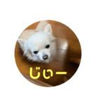 癒しのななの日常（個別スタンプ：2）
