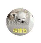 癒しのななの日常（個別スタンプ：5）