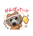 日常使いのうちの子スタンプ（個別スタンプ：14）