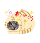 日常使いのうちの子スタンプ（個別スタンプ：22）