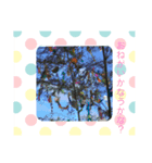 Kimamaスタンプ4（個別スタンプ：5）