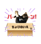 ちょびんちょびんのちょびちゃん（個別スタンプ：4）