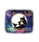ちょびんちょびんのちょびちゃん（個別スタンプ：6）