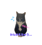 ちょびんちょびんのちょびちゃん（個別スタンプ：7）