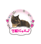 ちょびんちょびんのちょびちゃん（個別スタンプ：10）