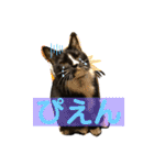 ちょびんちょびんのちょびちゃん（個別スタンプ：19）